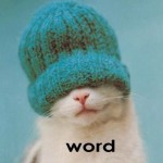 cat in hat saying WORD