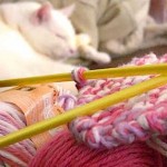 Happiness is Pretty Pink Yarn and a Purring Cat.... on Flickr - Photo Sharing!_1231093077702.jpeg