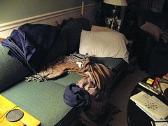 200908221436.jpg