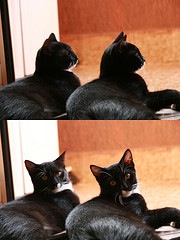 201006271001.jpg